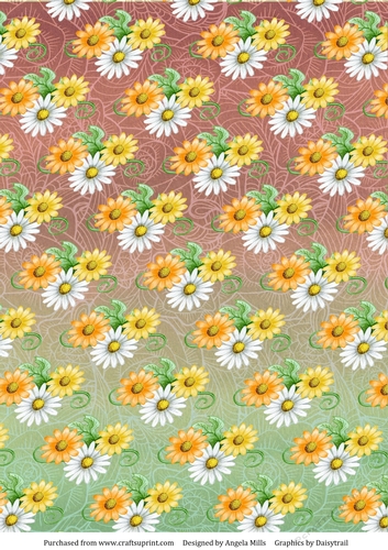 A4 Paper Daisies on Antique Rose/Green Ombre Background