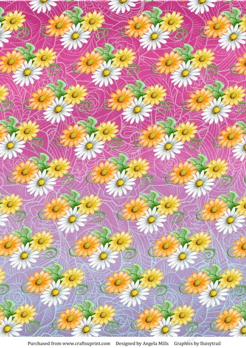 A4 Paper Daisies on Cerise/Lilac Ombre Background