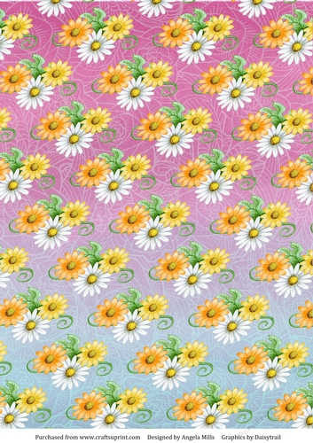 A4 Paper Daisies on Pink/Blue Ombre Background