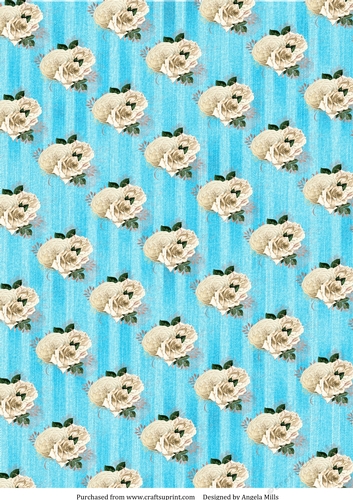A4 Paper White Roses on Faded Denim Striped Background, Turquoise
