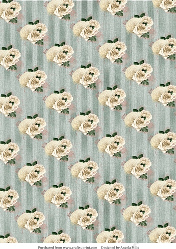 A4 Paper White Roses on Faded Denim Striped Background, Grey