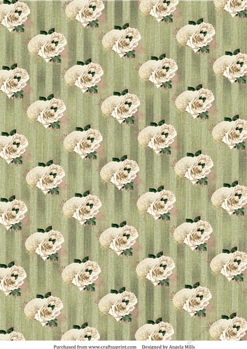 A4 Paper White Roses on Faded Denim Striped Background, Gold