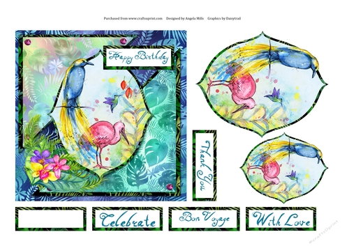 6 x 6 Card Front Tropical Birds with Toppers and Sentiments Blue/Green/Pink