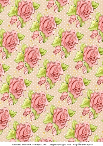 A4 Paper Pink Roses on Peach/White Dotted Background
