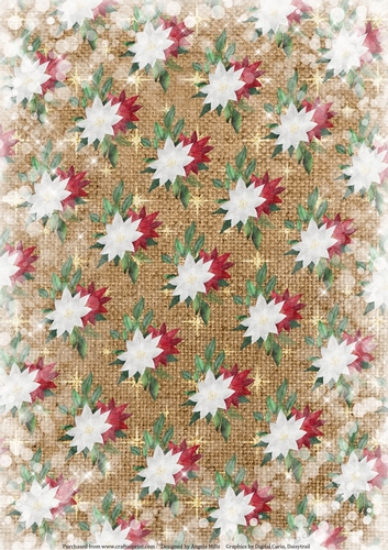 A4 Paper Red/White Snowy Christmas Poinsettias on Starry Burlap Background