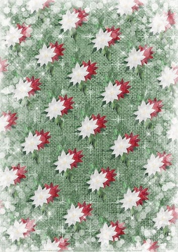 A4 Paper Red/White Snowy Christmas Poinsettias on Starry Green Burlap Background