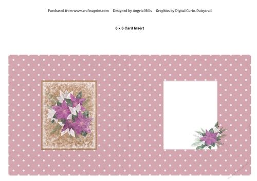 6 x 6 Christmas Card Insert, Purple/White Poinsettias on Pink Polka Dot Background, Blank