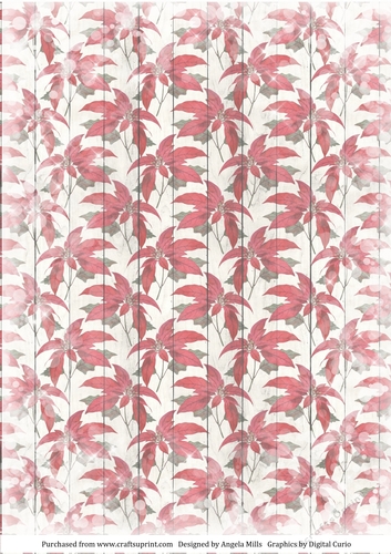 A4 Paper Snowy Red Christmas Poinsettias on Ivory Wood Background