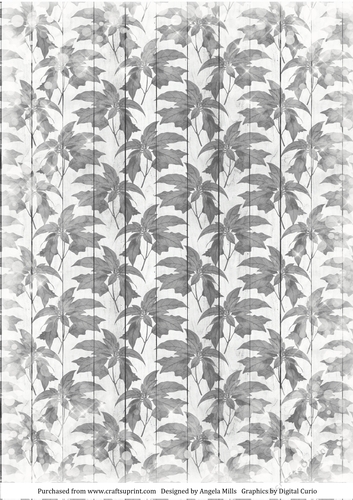 A4 Paper Snowy Grey Christmas Poinsettias on Pale Grey Wood Background