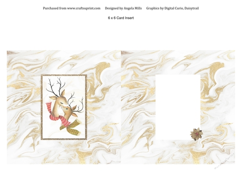 6 x 6 Christmas Card Insert Cute Reindeer on Gold/White Marble Background, Blank