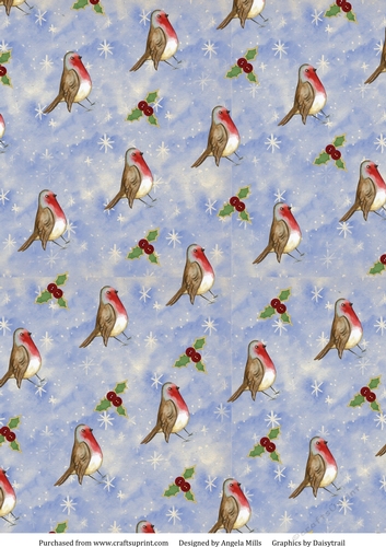 A4 Christmas Paper Robins and Holly on Starry Blue Background