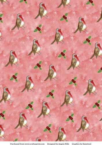 A4 Christmas Paper Robins and Holly on Starry Red Background