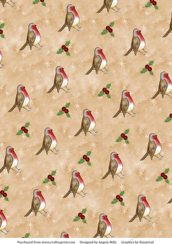 A4 Christmas Paper Robins and Holly on Starry Fawn Background
