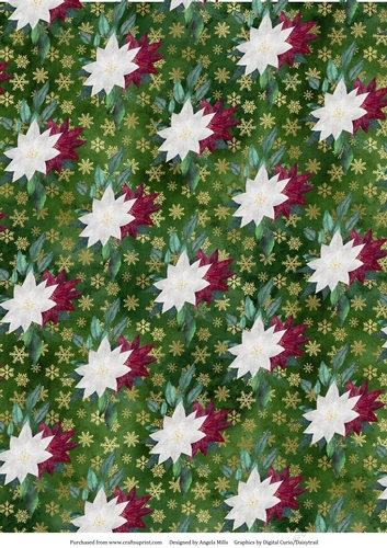 A4 Christmas Paper Burgundy.White Poinsettias on Green/Gold Snowflake Background
