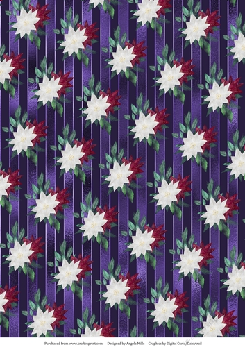 A4 Christmas Paper Burgundy/White Poinsettias on Purple Striped Background