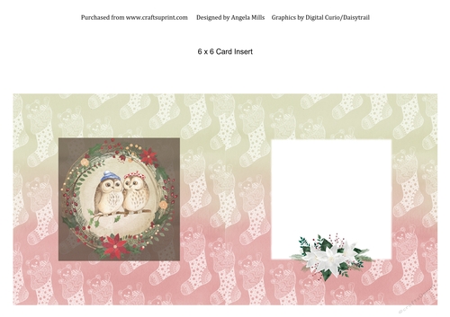 6 x 6 Christmas Card Insert Cute Owls on Red/Green Background, Blank