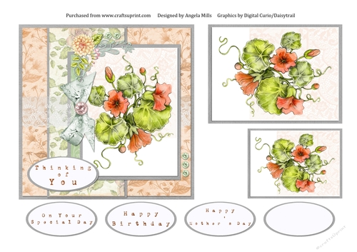 6 x 6 Floral Card Front Nasturtiums with Toppers and Sentiments, Orange/Green