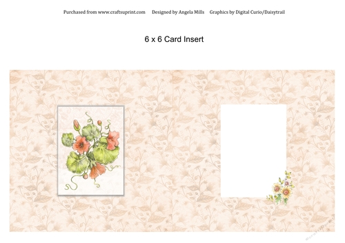 6 x 6 Card Insert Nasturtiums on Peach Floral Background Blank