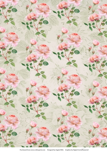 A4 Paper Shabby Chic Pink Peonies on Pale Green Background