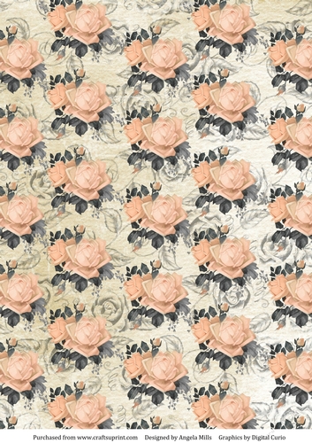 A4 Paper Shabby Peach Roses on Ivory Floral Background.