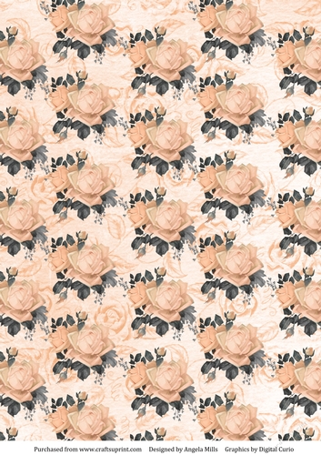 A4 Paper Shabby Peach Roses on Peach/Cream Floral Background.