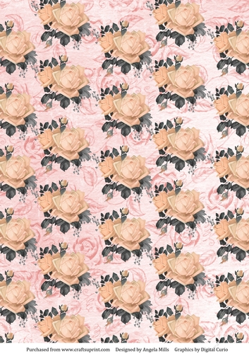 A4 Paper Shabby Peach Roses on Pink Floral Background.