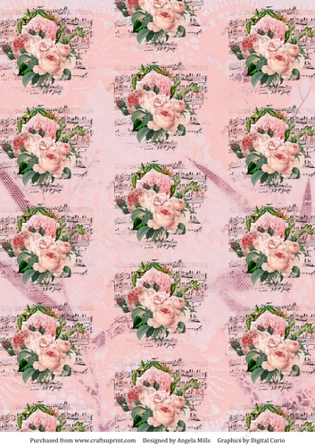 A4 Paper Shabby Pink/Peach Roses and Peach Lace on Pink Background