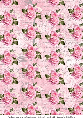 A4 Paper Pink Roses on Baby Pink Script Background