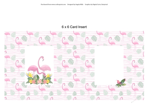 6 x 6 Card Insert Pink Flamingoes on Pink/Green Background, Blank