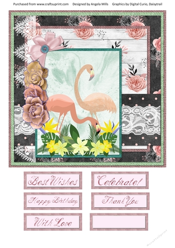 8 x 8 Card Front Peach Flamingoes with Sentiments, Peach/Green/Black