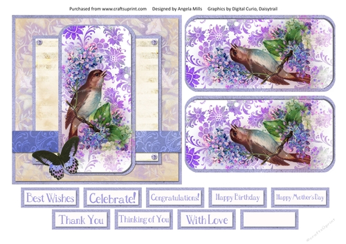 6 x 6 Card Front Shabby Floral Bird/Butterfly with Toppers and Sentiments, Lilac/Ivory