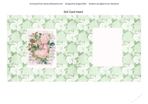 5 x 5 Card Insert Shabby Pink Roses on Light Green Floral Background, Blank