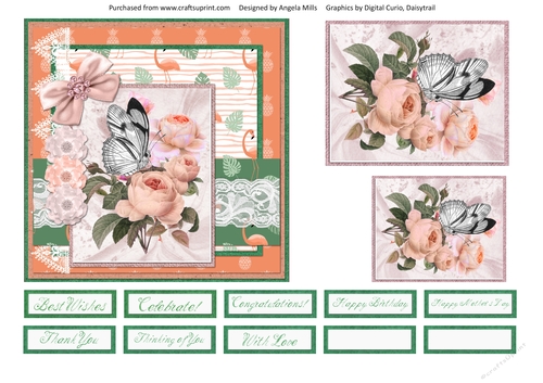 6 x 6 Card Front Butterfly/Peach Peonies with Toppers and Sentiments Peach/Orange/Green