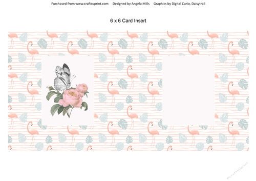 6 x 6 Card Insert Butterfly/Peach Peonies on Peach/Green Flamingo Background, Blank