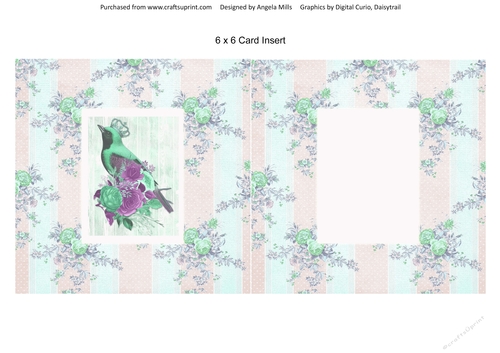 6 x 6 Card Insert Vintage Crowned Bird on Shabby Floral/Striped Background, Blank