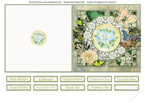 5 x 5 Quick Cut & Fold Card Shabby Daisies/White Lace Frame with Sentiments  Green/Yellow