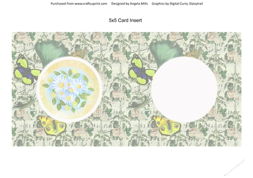 5 x 5 Card Insert Daisies on Vintage Green/Yellow Butterfly/Floral Background, Blank