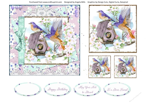 Spring Birdsong 5 6x6 Card Front with Toppers and Sentiments, Lilac/Aqua