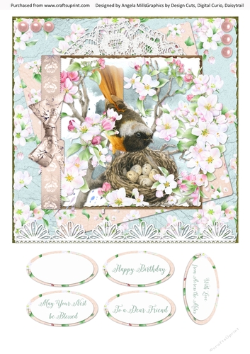 Spring Birdsong 7 8x8 Card Front with Sentiments, Light Blue/Peach
