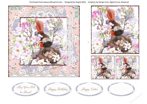 Spring Birdsong 11 6 x 6 Card Front with Toppers and Sentiments, Peach/Lilac