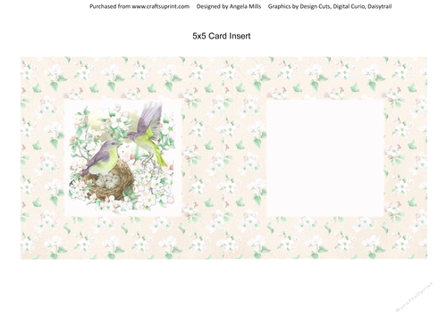 Spring Birdsong 12 5 x 5 Card Insert with Cream/White Floral Background, Green/Lilac/Cream