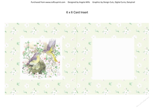 Spring Birdsong 14 6 x 6 Card Insert with Pale Green/White Floral Background, Blank