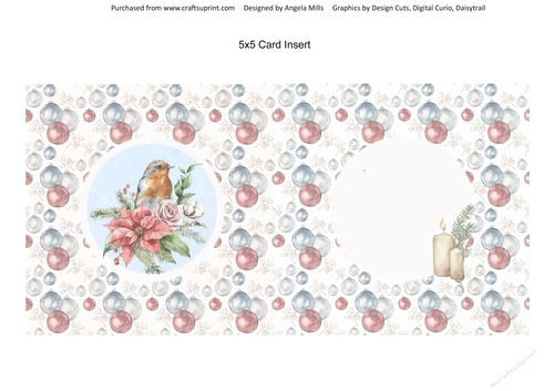 Shabby Chic Christmas12/Robin & Poinsettias 5 x 5 Card Insert on Red, White & Blue Baubles Background