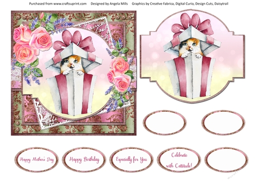 Shabby Lace Florals 14: Calico Cat Gift Box 6 x 6 Card Front with Toppers and Sentiments