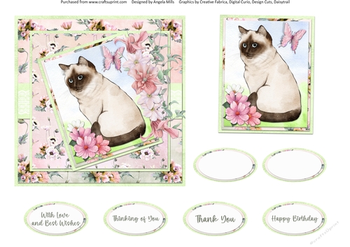 Cats and Dogs 5: Birman 6 x 6 Card Front with Topper and Sentiments, Peach/Green