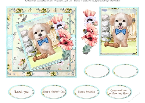 Cats and Dogs 11: Maltese 6 x 6 Card Front with Topper, Poppy Decoupage and Sentiments, Yellow/Aqua