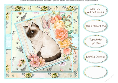 Cats and Dogs 7: Birman 8 x 8 Quick Card Front with Sentiments, Aqua/Ivory