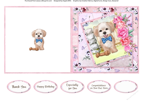 Cats and Dogs 12: Maltese 5 x 5 Quick Cut & Fold Card with Sentiments, Pink