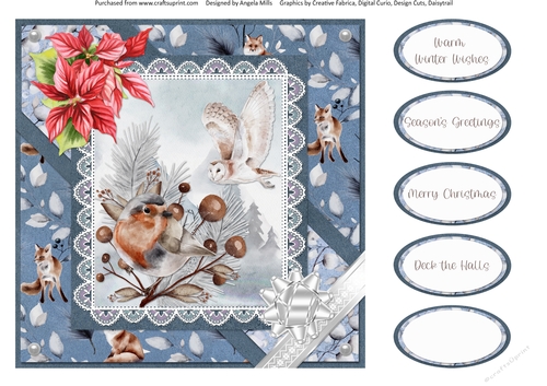 Christmas Scenes 45: Robin/Snowy Owl 8 x 8 Card Front with Sentiments, Blue/Red/White