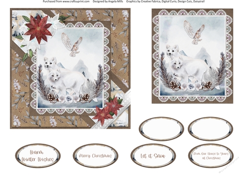 Christmas Scenes 46: Arctic Foxes/Poinsettias 6 x 6 Card Front with Topper and Sentiments